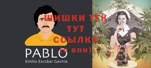 прущие грибы Покачи