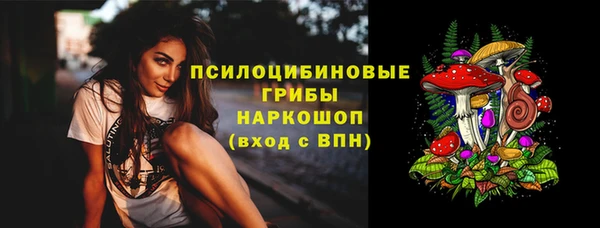 сатива Абдулино