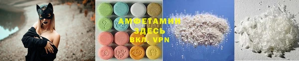 прущие грибы Покачи