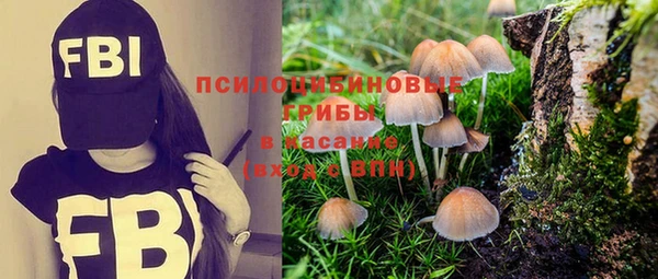 сатива Абдулино