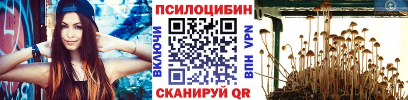 Галлюциногенные грибы мухоморы  Вичуга 